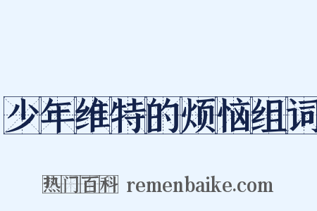 少年维特的烦恼组词是什么意思的图片